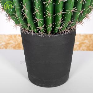 Top Vente <span class=keywords><strong>Cactus</strong></span> Artificiel Balled En Pot Haute Simulation Succulentes Bonsaï <span class=keywords><strong>Prix</strong></span> Usine Faux <span class=keywords><strong>Cactus</strong></span> Plante pour La Décoration - Product Image 5