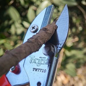 กรรไกรตัดกิ่งพีชเกรดอุตสาหกรรมมือซ้ายทรงพลังสวนองุ่นกุหลาบฤดูหนาวไม่ทำให้คุณเบื่อ - Product Image 5