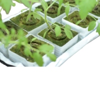 KAIHUA KH-GC Cubes de laine de roche écologiques résistants au feu pour la culture hydroponique de tomates dans les serres agricoles