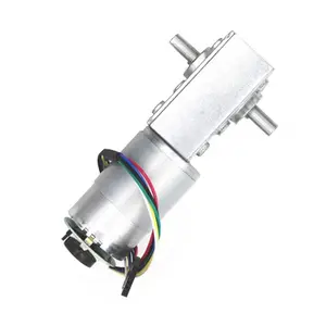 BringSmart 5840-555B mini electric 12v double D shaft dc motor with high torque for Robot worm gear motor with encoder suppliers