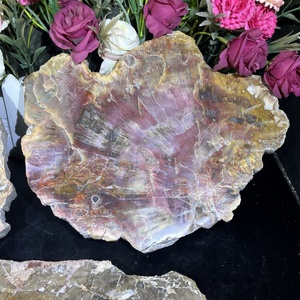 Vente chaude en vrac en bois brut grandes dalles fossiles en bois pétrifié en bois pétrifié poli pour ornement - Product Image 2