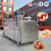 Machine industrielle de lyophilisation sous vide pour fruits, légumes, chips, bonbons et snacks lyophilisés