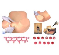 Modelo de Vagina Artificial para parto ginecológico, para enseñanza médica