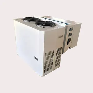 用于冷室存储的2hp 3hp 4hp壁挂式单体冷凝装置