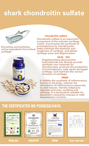 Comprimés à mâcher à la chondroïtine pour animaux de compagnie, en gros, OEM, Furry Felicity, requin, soutien à la santé des articulations pour chats et chiens de toutes races - Product Image 6
