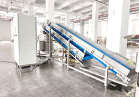 Industriële appel-, groente- en fruitwasserinstallatie, fruitborstelwasapparatuur voor het reinigen van uien