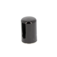 Élément de filtre à huile Diesel de carburant de camion filtres à huile pour VOLVO et pour camions RENAULT Oem 11711074 FF5709 1181245 WK940/19 H17WKIO