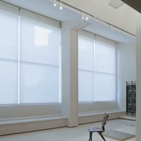 Vente directe d'usine, stores manuels à enrouleur pas chers, occultants, filtrant la lumière, stores pour fenêtres de bureau, taille personnalisée, ignifuges
