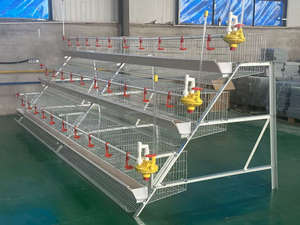 Approvisionnement d'usine galvanisé à chaud 60 oiseaux/poulets capacité Cage à poulet volaille Cage à poulet - Product Image 2