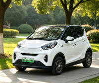 Voiture électrique mini à quatre roues entièrement fermée, écologique, 3600W, pour adultes, à conduire à la main, prix usine