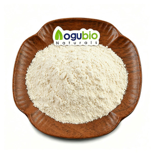 Amylase maltogénique de qualité alimentaire 3000 U/g en poudre enzymatique pour la moléculature du pain et l'anti-âge, ingrédients de boulangerie, approvisionnement en vrac - Product Image 1