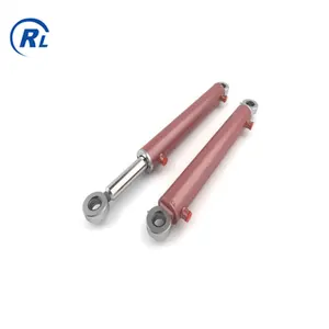 Qingdao Ruilan Customize High Quality Single Acting Hydraulic Cylinder Double Acting Hydraulic Cylinder