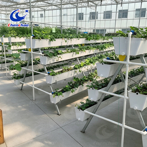 High Yield Greenhouse Vertical Hydroponic System A-Frame Strawberry Gutter System PVC <strong>Planting</strong> <strong>Trough</strong> for <strong>Large</strong> Scale Farm - Product Image 4