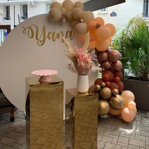 ऐक्रेलिक डिस्प्ले आर्क बेबी शॉवर तितली घटना स्टैंड पैनल शादी की सजावटी पृष्ठभूमि - Product Image 6