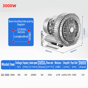 Fabriekslevering 3kw Elektrisch Zijkanaal Hogedruk Luchtring Blower Voor Viskweek Zuurstof - Product Image 6