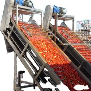 Fábrica tomate pulper evaporador esterilizador que hace la máquina conservas Ketchup planta de procesamiento salsa de tomate línea de producción de pasta