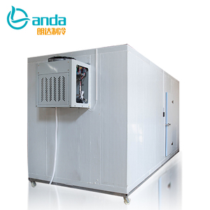냉동실 전원 콜드 룸에서 고기 야채 과일 생선 저장 산책 - Product Image 6