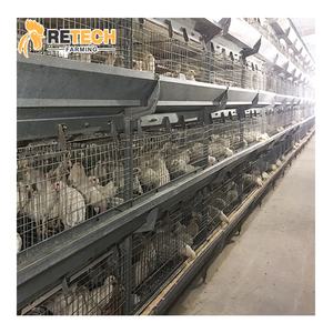 Gabbia per polli con pinza a batteria a 4 livelli di tipo H di grandi dimensioni completamente automatica - Product Image 2