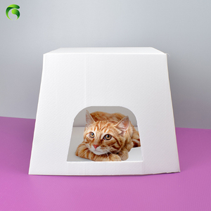 Caja Transportadora de Mascotas Portátil de PP, Plegable, Aprobada por Aerolíneas, para Viajes, para Perros y Gatos - Product Image 1