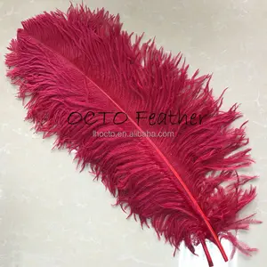 Vente en gros de plumes teintées en rouge de 24 à 26 pouces pour la décoration de la maison de mariage 60 à 65cm de large plume d'autruche