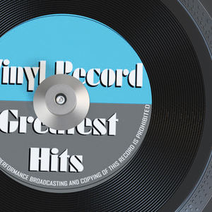 Placa de Aluminio Amortiguadora de Impactos para Discos de Vinilo LP de 7 Pulgadas y 45 rpm, Estabilizador de Tocadiscos, Adaptador de Disco de Gramófono, Estabilizador de Peso - Product Image 4