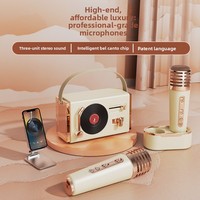 C-220 PLUS Haut-parleur Karaoké Portable Mini Hifi à Succès, Changeur de Voix DJ pour Fêtes, Double Micro Magnétique Rechargeable
