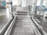 Complete fruit- en groenteverwerkingslijn met lichtinspectie, sortering, weeken, wassen en luchtdroging