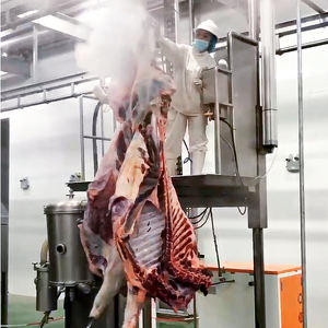 Chaîne d'habillage <span class=keywords><strong>halal</strong></span> pour abattoir de bovins Machines de <span class=keywords><strong>boucherie</strong></span> Machines d'abattage de bœuf pour abattoir - Product Image 4
