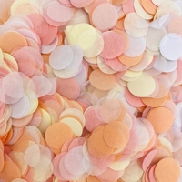 Confettis en papier de riz biodégradable multicolores JIN PENG 1KG, cercles/rectangles pour la décoration de mariage, fête ou baby shower