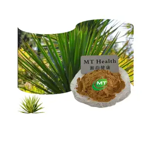 Haute qualité plante 100% poudre d'extrait de racine de yucca bio 10:1 extrait de yucca schidigera 60% extrait de yucca salsaponine