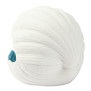 Gabbia in ceramica Pet House camera da letto Mini <span class=keywords><strong>criceto</strong></span> topi piccolo animale Cottage giocattoli <span class=keywords><strong>per</strong></span> la casa caldi nido di <span class=keywords><strong>criceto</strong></span> Design a conchiglia <span class=keywords><strong>per</strong></span> <span class=keywords><strong>criceto</strong></span> - Product Image 4