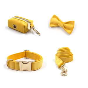 Ensemble de colliers et laisses de luxe en velours pour chien, sacs à crocs de formation <span class=keywords><strong>Louis</strong></span> - Product Image 4