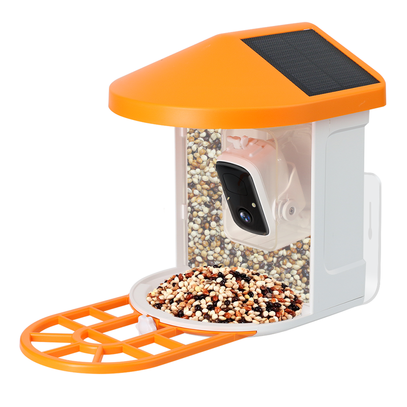 AI Recognition Smart Bird Feeder with