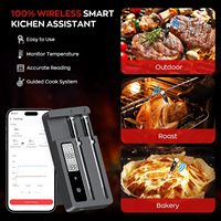 Termometer Daging Digital Nirkabel SEB Dual Probe dengan Probe Baja Tahan Karat & Basis Pengisian Daya ABS untuk Barbekyu Arang Luar Ruangan