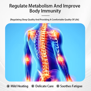 痛みと関節のためのOEM脊椎筋肉救済クリームAthritis中国健康とウェルネス石膏製品 - Product Image 2