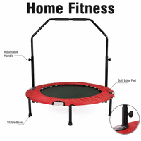 Trampolines de fitness pour adultes, mini trampolines d'intérieur, sur mesure OEM, avec barre de maintien réglable.