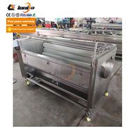 XINLONGJIA Beste Gember- en Wortelschilmachine Fruit- en Groenteschilmachine Aardappelwasmachine