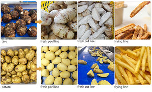 Ligne de transformation intégrée 3-en-1 pour légumes racines : Lavage, pelage, découpe, friture et emballage de navets, taro, patate douce et pommes de terre - Product Image 6