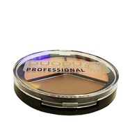 Palette de surbrillance Poudre Maquillage Surligneur Contour Palette Marque privée