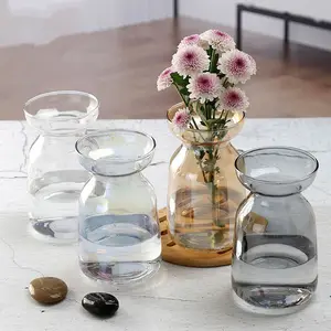 Creative Small Shrink Neck Bottles Colored Thick Glass Vase Hydroponic vase Lily Rose Vase Side Table Decoration