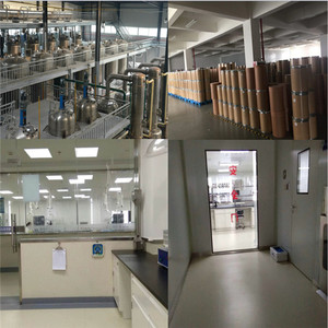 ผงแกลบไซเลียม - Product Image 3