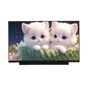 Módulo de pantalla LCD TFT NV140DRM-N61 de 14 pulgadas con 100% sRGB, resolución de 2240*1400, 188 PPI, brillo de 300 y pantalla sin función táctil. - Product Image 1