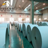 Hisoa - Cartón Dúplex Recubierto de 230g-300g con Reverso Gris para Empaque, para las Industrias Química, Alimentaria e Impresión
