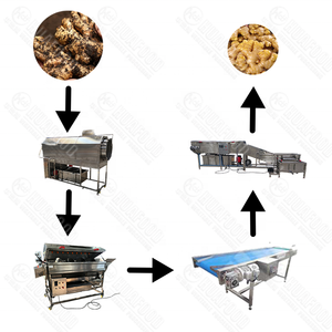 Équipement de lavage et de pelage continu automatique motorisé pour légumes et fruits, destiné aux usines ou lignes de transformation alimentaire - Product Image 4