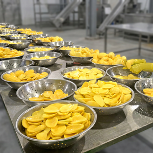 Techmifood Vietnam – Emballage personnalisé en vrac avec logo, 10 kg de tranches de mangue séchées moelleuses, approvisionnement direct usine, collations de fruits saines - Product Image 1