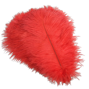Großhandel 55-60 cm Pink Rot Gelb Schwarz Grün Straußen federn Bulk Feather Strauß zur Dekoration - Product Image 6