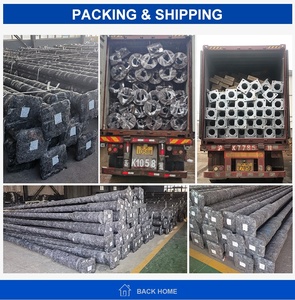 उच्च गुणवत्ता कस्टम 3 मीटर आउटडोर बास्केटबॉल कोर्ट गार्डन स्ट्रीट लाइट लैंप पोल - Product Image 2