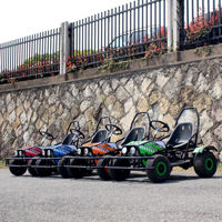 QIQU 48V 500W Buggy de Carreras Comercial con Eje de Transmisión sin Escobillas, Carga de 100 kg, Go Kart Eléctrico para Niños, Velocidad de 40 km/h, para Exteriores
