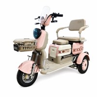 Tricycle électrique à trois roues neuf de marque 12 Tube, moteur différentiel 500W, 48V 60V, pneus standard pour l'exportation en gros