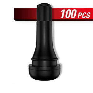 Pièces d'auto de <span class=keywords><strong>valve</strong></span> de pneu du Offre Spéciale <span class=keywords><strong>TR</strong></span> <span class=keywords><strong>413</strong></span> pour des voitures Tubeless en caoutchouc pour des médias de gaz prix concurrentiel - Product Image 4
